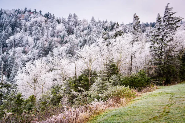 Park Narodowy Great Smoky Mountains Usa Wczesną Zimą Mróz — Zdjęcie stockowe