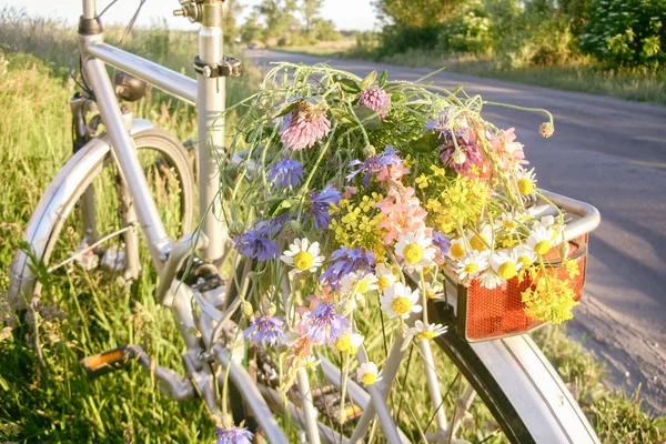 Bouquet Wildflowers Trunk Bicycle Highway Filter Applied — Stock Photo, Image