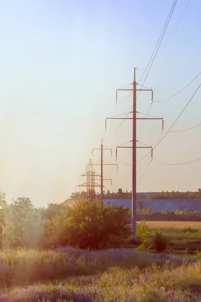 Poles Wires Field Filter Applied — Stock Photo, Image