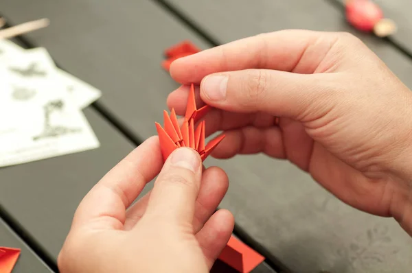 Origami Rotes Papier Prozess Meisterklasse — Stockfoto