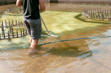 Şehir Parkı Çeşme temizlemek