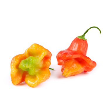 Beyaz arka plan üzerinde izole chili çan şekli