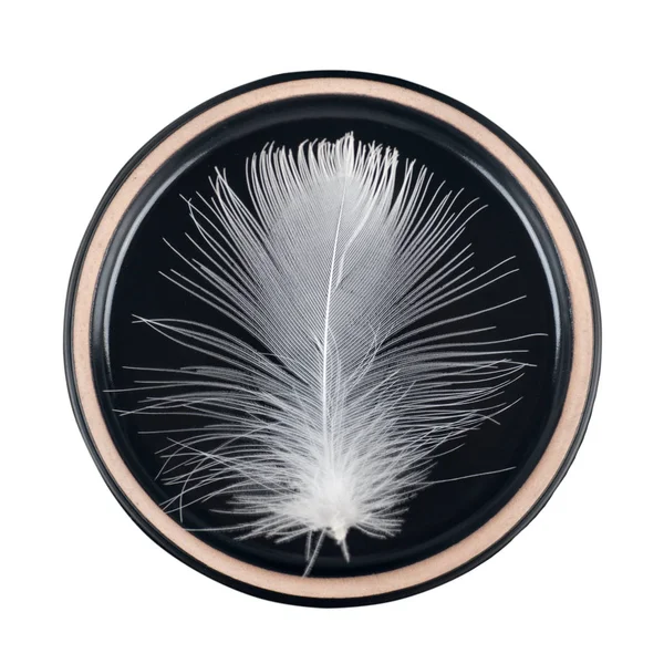 White Bird Feather Black Circle Isolated White Background — Stock Photo, Image