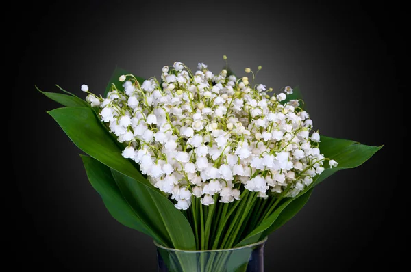 Bouquet Lily Valley Black Background — Stock Photo, Image