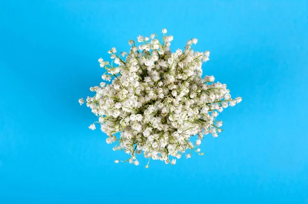 buket lily vadi üzerinde mavi arka plan üstten görünüm