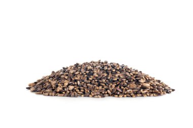 Thistle tohum bir yığın beyaz bir arka plan üzerinde