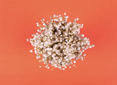 bir buket mercan bir arka planda 2019 eğilimini lily vadi üstten görünüm