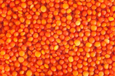 kırmızı mercimek arka plan, yakın çekim, en iyi görünüm, beyaz arka plan üzerinde izole