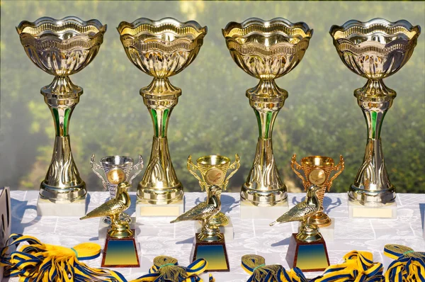 Gold cups, awards to winners at the bird show — Stock Photo, Image