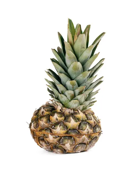 Mini-Ananas isoliert auf weißem Hintergrund — Stockfoto