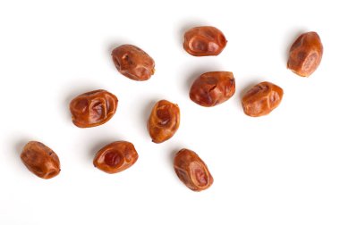 Beyaz arkaplan görünümünde izole edilmiş hurma ağaçları