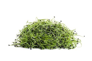 Beyaz arkaplanda izole edilmiş taze soğan tohumları.