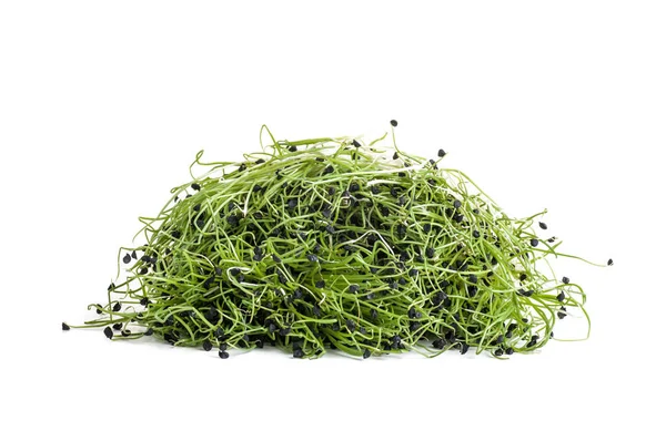 Beyaz arkaplanda izole edilmiş taze soğan tohumları.