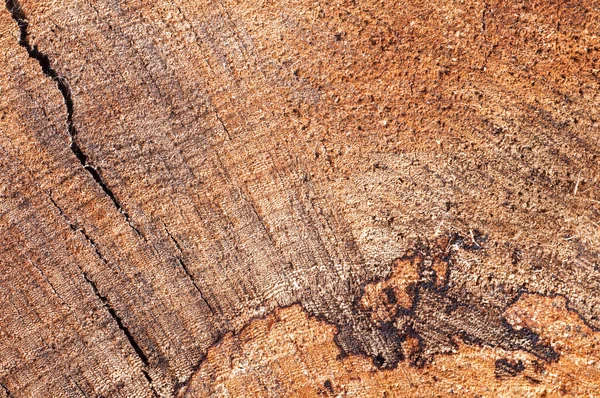 Tekstura Tło Starzejące Się Drewna Zbliżenie — Zdjęcie stockowe