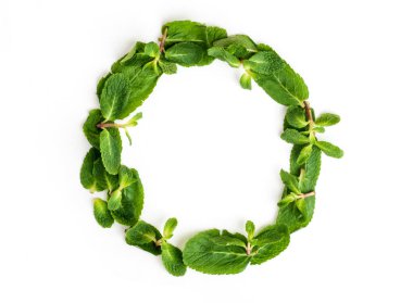 Nane yaprakları beyaz arkaplanda izole edilmiş daire şeklinde dizilmiş.