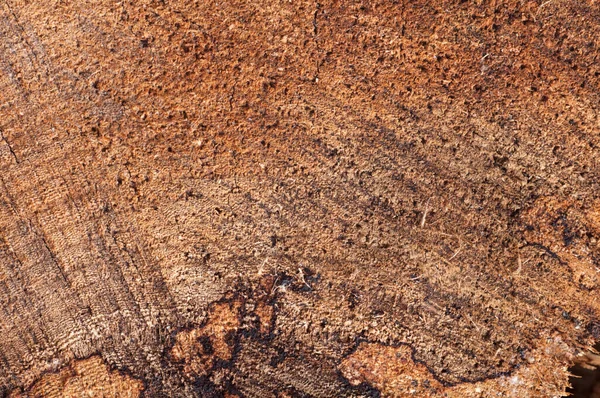 Textura Fondo Madera Vieja Madera — Foto de Stock