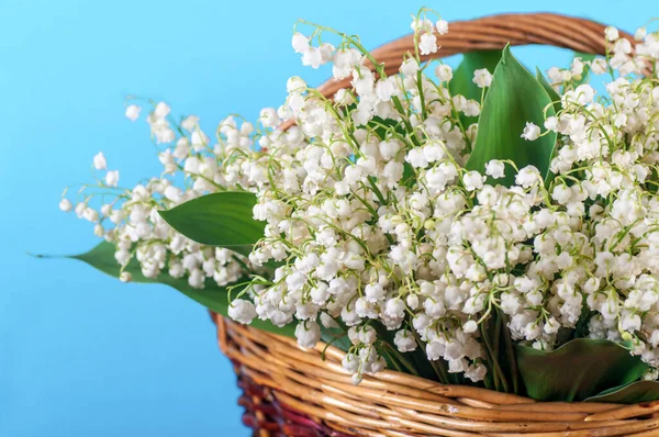 Lilies Valley Basket Blue Background — Stock Photo, Image