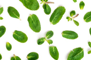 Genç taze nane yaprakları beyaz arka planda izole edilmiş.