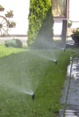 Güneşli bir sonbahar gününde sulama çim yağmurlama