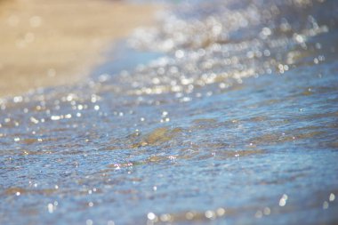 Kumsaldaki Mavi Okyanus Dalgası. Geçmişi. Seçici odak