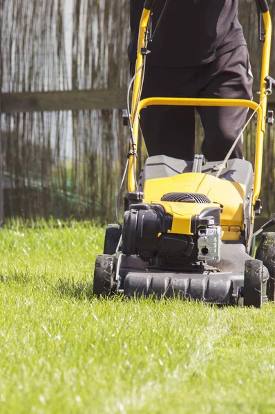 Lawn mower cutting green grass in backyard, garden service