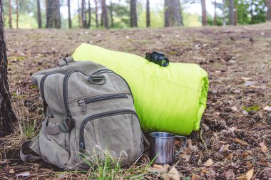 Şeyler için yürüyüş uyku tulumu ve sırt çantası yakınındaki ormanda, portre.