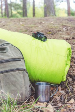 Şeyler için yürüyüş uyku tulumu ve sırt çantası yakınındaki ormanda, portre.