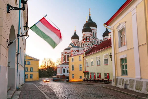 Alexander Nevsky Cathedral in Tallinn — Stock Photo, Image