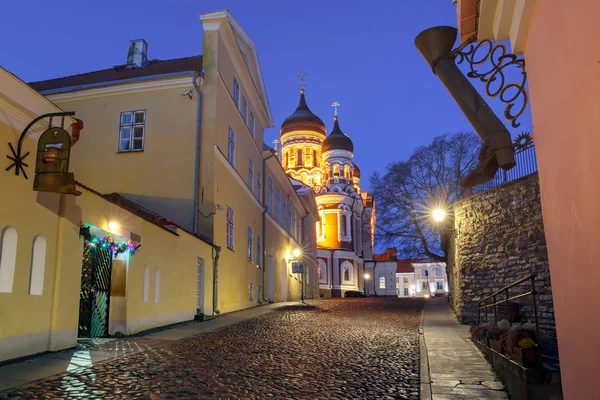 Catedral Alexander Nevsky à noite em Tallinn — Fotografia de Stock