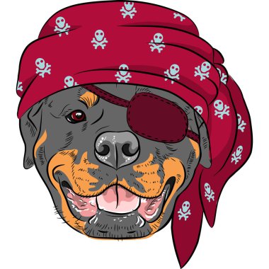 vector Dog Rottweiler Pirate clipart