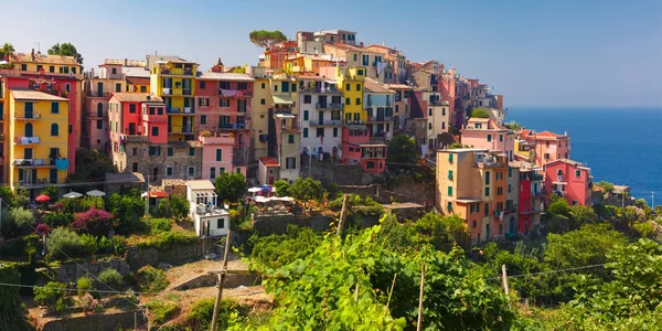 Panorama de Corniglia, Cinque Terre, Ligúria, Itália — Fotografia de Stock