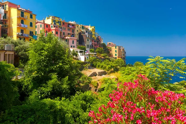 Panorama de Corniglia, Cinque Terre, Liguria, Italia —  Fotos de Stock