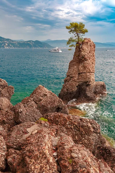 Seaview of Portofino, Italian Riviera, Liguria — Stock Photo, Image