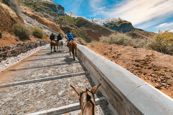 Turistas en burros subir las escaleras, Fira, Santorini — Foto de Stock