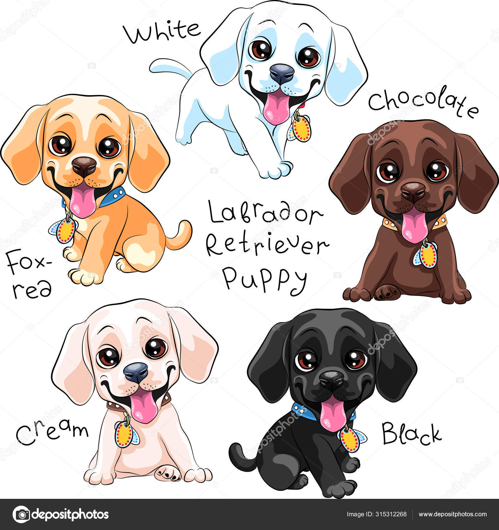 SET Cachorro Labrador Retriever Vetor de ©olgacov 315312268, image size:1600x1700