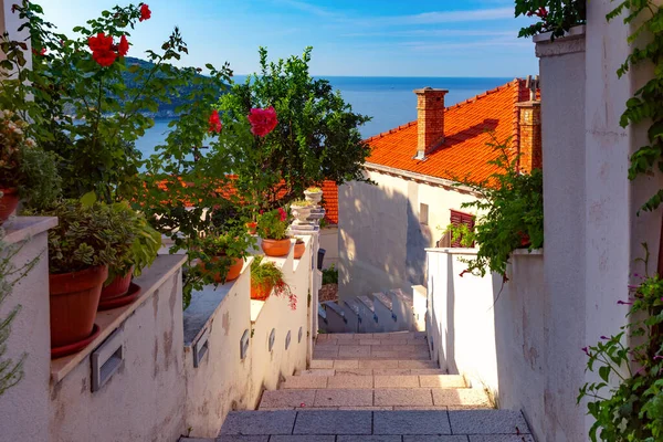 Staré město Dubrovník, Chorvatsko — Stock fotografie