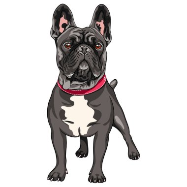vector black dog French Bulldog clipart
