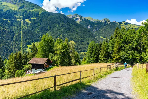 Mountain in Switzerland — Stock Photo, Image