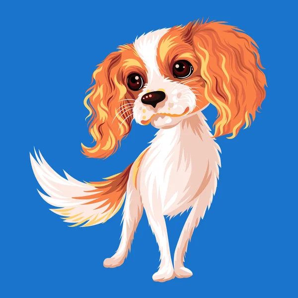 Vector dog Cavalier King Charles Spaniel — Stock Vector