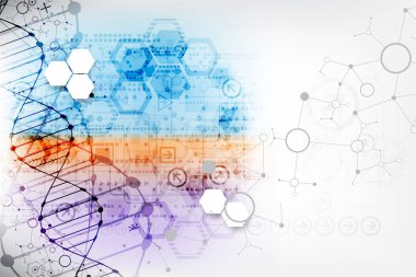 Bilim şablonu, duvar kağıdı ya da DNA moleküllü pankart. Vektör illüstrasyonu.