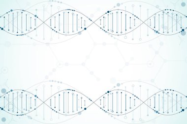 Bilim şablonu, duvar kağıdı ya da DNA moleküllü pankart. Vektör illüstrasyonu.