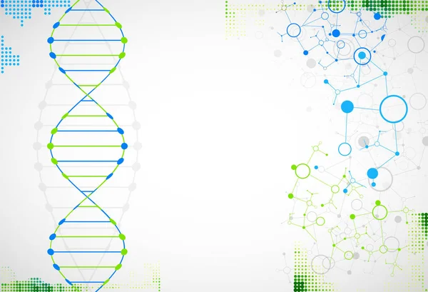 Templat Sains Kertas Dinding Atau Spanduk Dengan Molekul Dna Ilustrasi - Stok Vektor