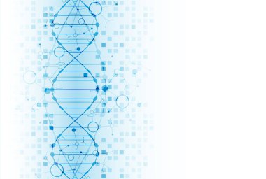 Bilim şablonu, duvar kağıdı ya da DNA moleküllü pankart. Vektör illüstrasyonu.