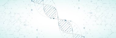 Bilim şablon, duvar kağıdı veya afiş bir Dna molekülleri ile. Vect