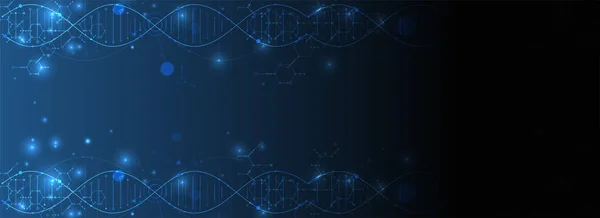 Modèle de science, papier peint ou bannière avec des molécules d'ADN. Vecte — Image vectorielle