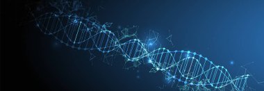 Bilim şablon, duvar kağıdı veya afiş bir Dna molekülleri ile. Vect