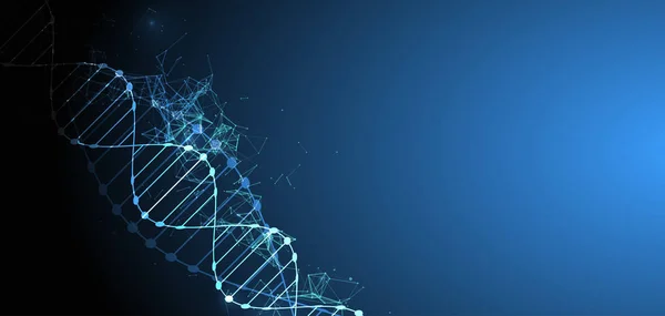 Bilim şablon, duvar kağıdı veya afiş bir Dna molekülleri ile. Vect — Stok Vektör