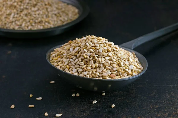 Close Sesame Seeds Metal Scoop — Stock Photo, Image