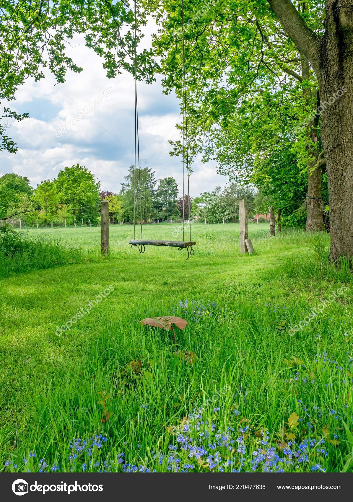 Old Fashioned Wooden Tree Swing Sun Lit Countryside Meadow