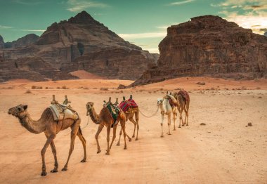 Develer Wadi Rum Çölünde, Ürdün, Unesco Mirası